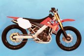 2008 ATK 450 Dirt Track photo